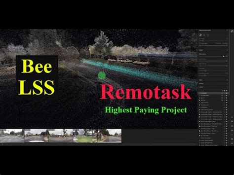 Bee LSS project .